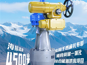 4500米！良固閥門集團服務全球海拔最高的光熱電站