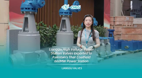 跨越萬里 共筑光明——良固高壓電站閥出口巴基斯坦塔爾煤電一體化項(xiàng)目