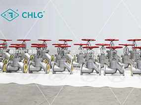 專注醫藥潔凈流體控制——良固抗生素截止閥交付新疆某生物科技年產500噸克林霉素醇化物生產線項目