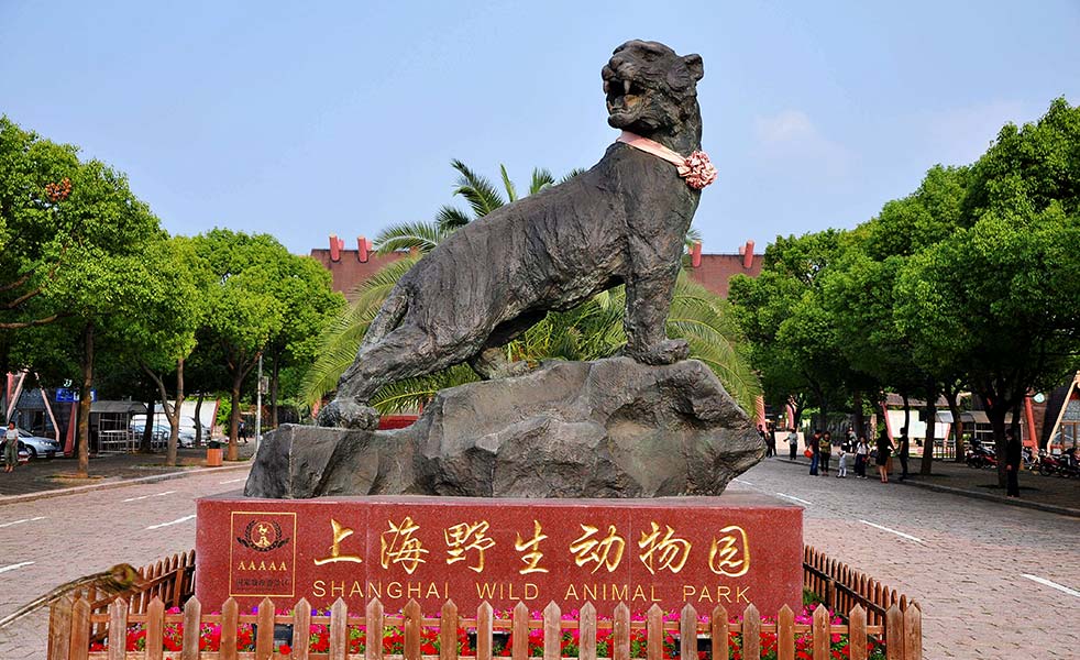 上海野生動(dòng)物園演出擴(kuò)聲