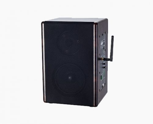 LAX SK-9523 數(shù)字網(wǎng)絡監(jiān)聽音箱